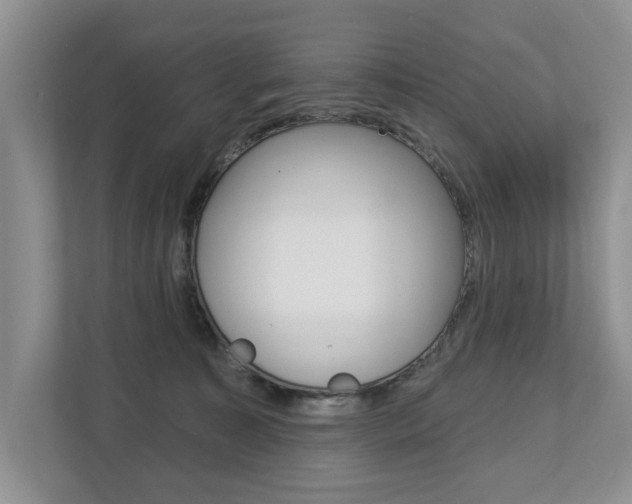 X0000112890323200908211035