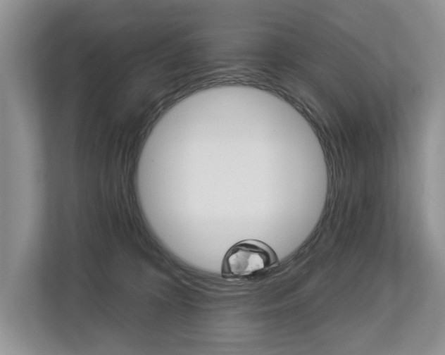 X0000112890324200908211035