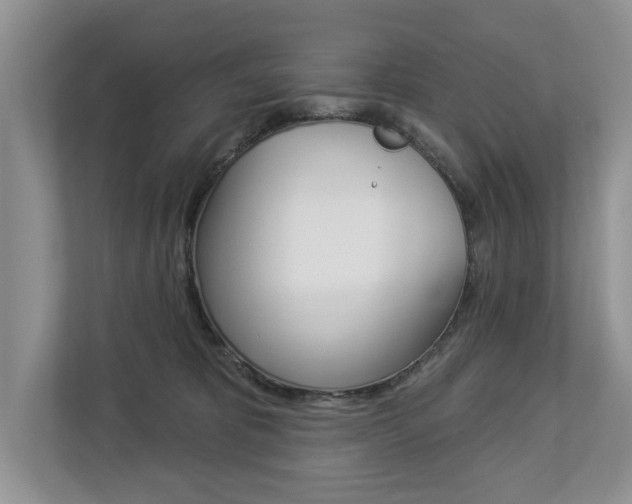 X0000112890325200908211035