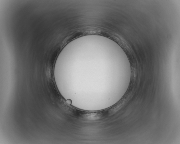 X0000112890326200908211035