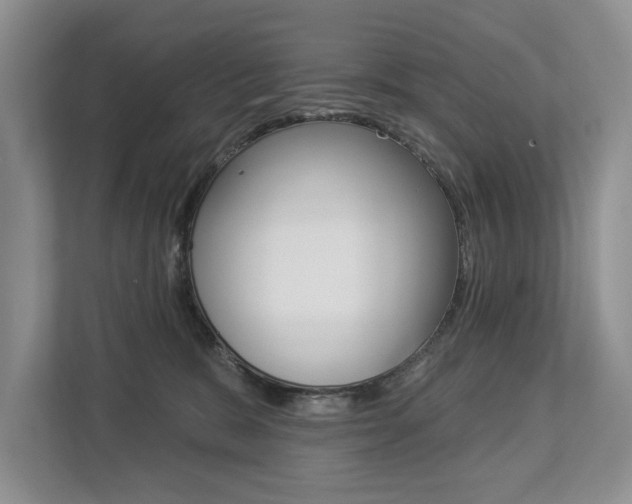 X0000112890327200908211035