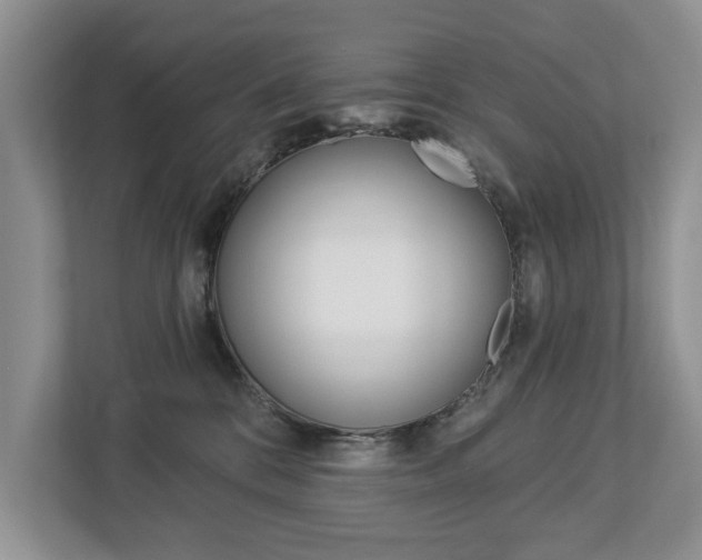X0000112890328200908211035