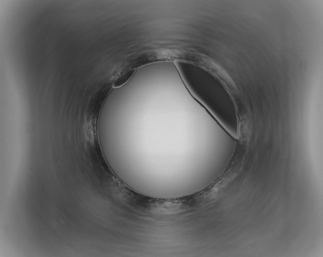 X0000112890329200908211035