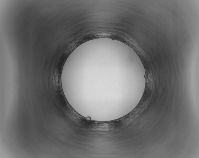 X0000112890330200908211035