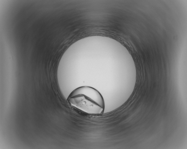 X0000112890332200908211035