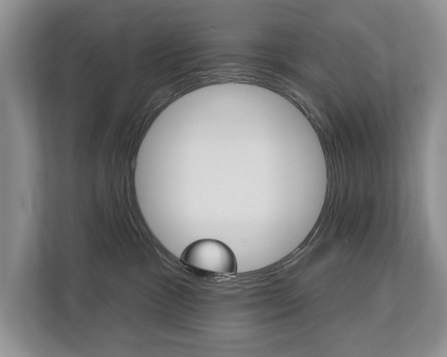 X0000112890333200908211035