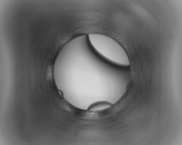 X0000112890335200908211035