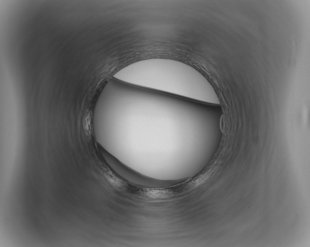X0000112890336200908211035