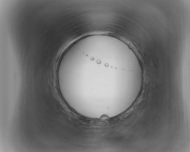 X0000112890337200908211034