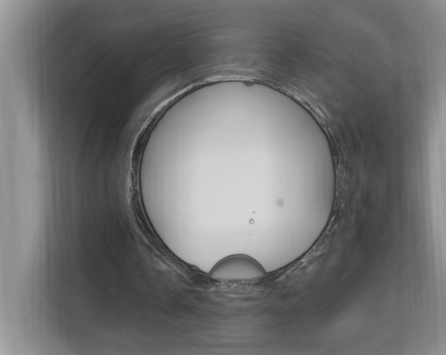 X0000112890338200908211034