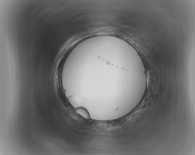 X0000112890339200908211034