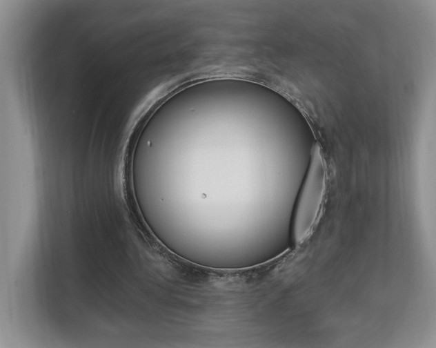 X0000112890340200908211034