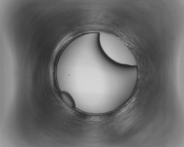 X0000112890341200908211034