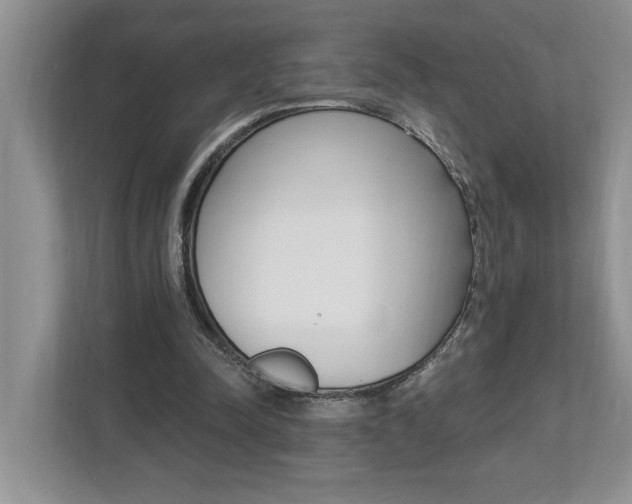 X0000112890342200908211034
