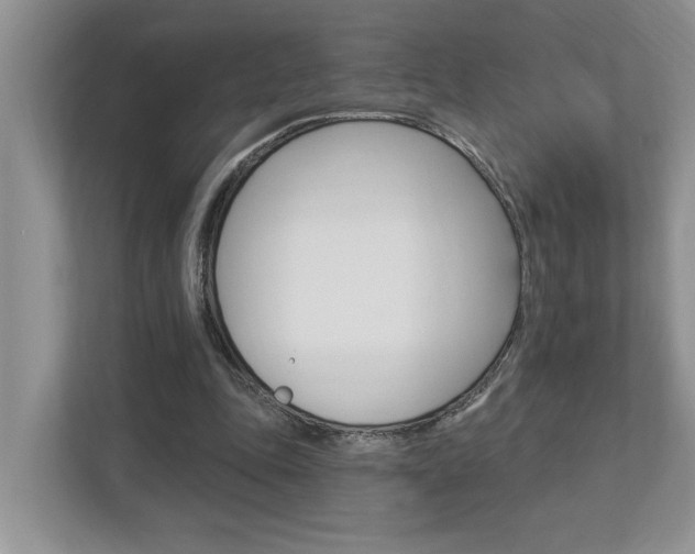 X0000112890343200908211034