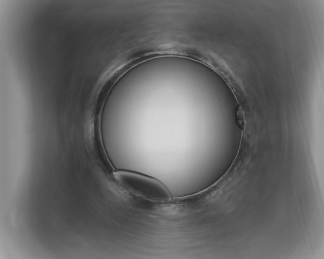X0000112890344200908211034