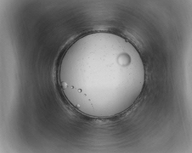 X0000112890346200908211035