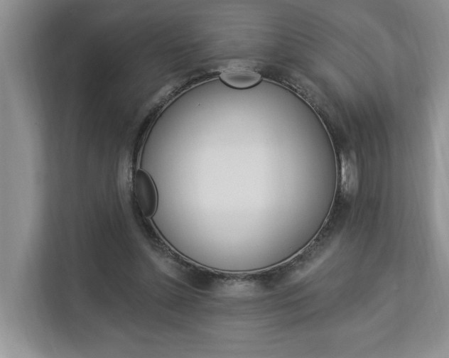 X0000112890348200908211035