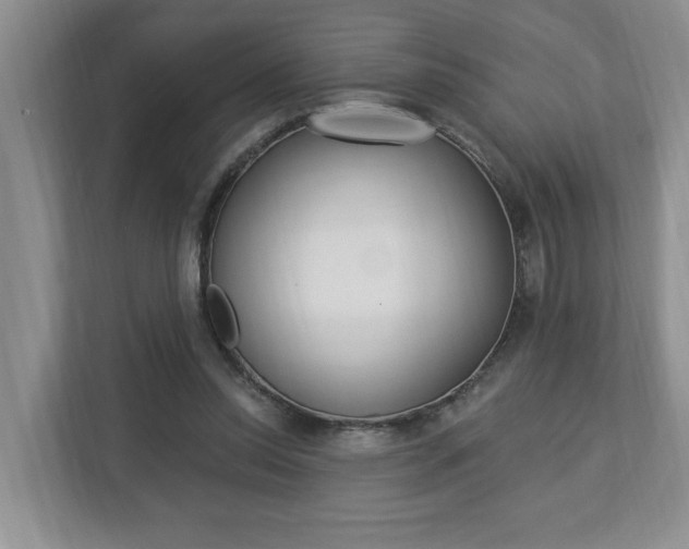 X0000112890350200908211035
