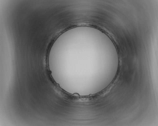 X0000112890353200908211035