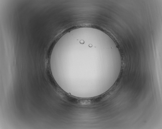 X0000112890355200908211035