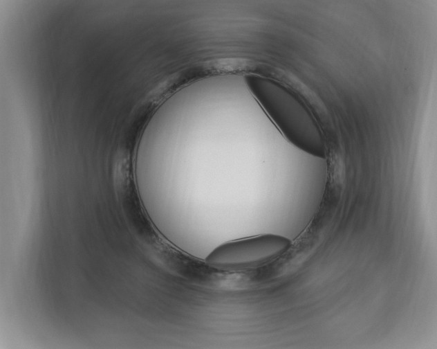 X0000112890356200908211035