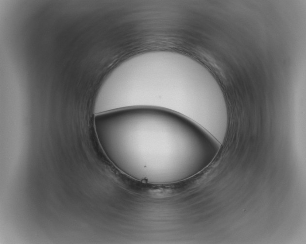 X0000112890362200908211035