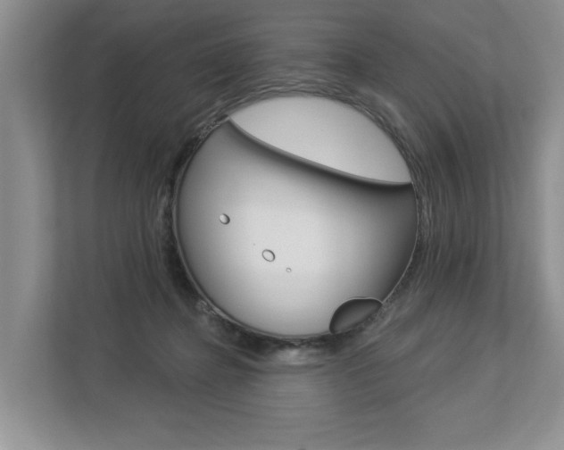 X0000112890364200908211035