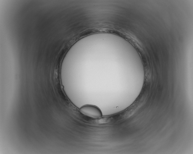 X0000112890365200908211035