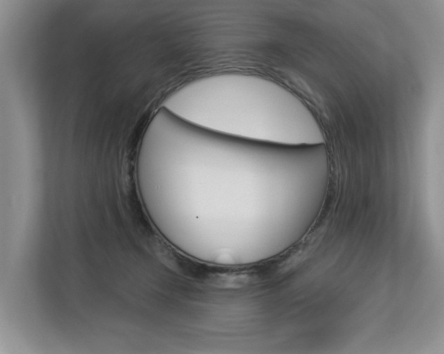 X0000112890366200908211035