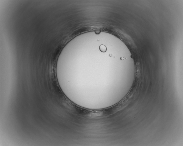 X0000112890369200908211035