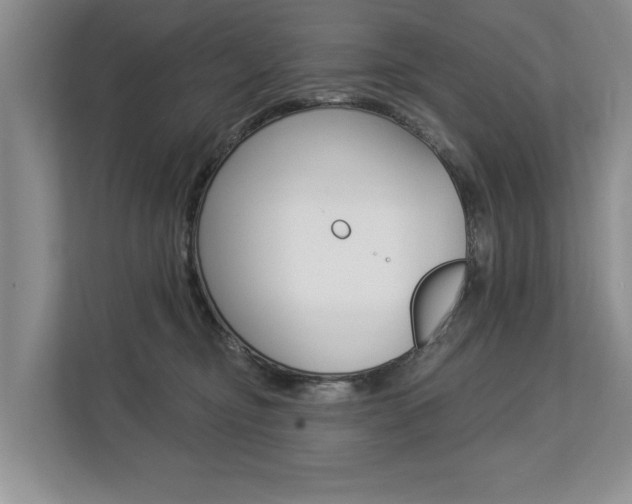 X0000112890374200908211035