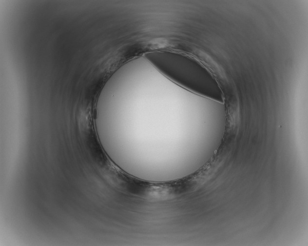 X0000112890376200908211035