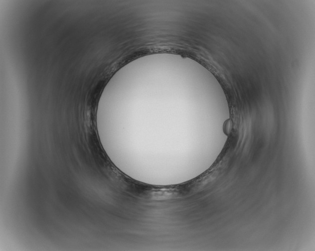 X0000112890378200908211035