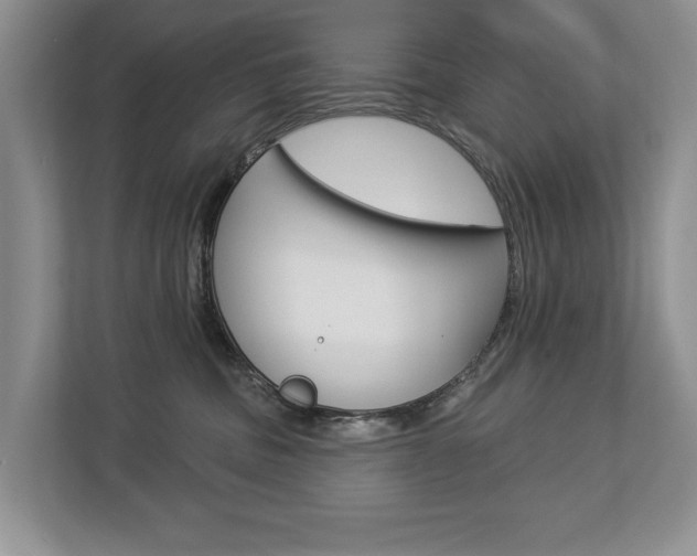 X0000112890379200908211035