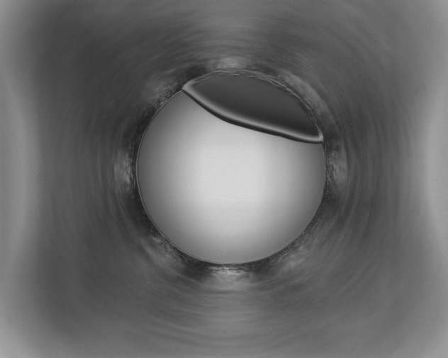 X0000112890380200908211035