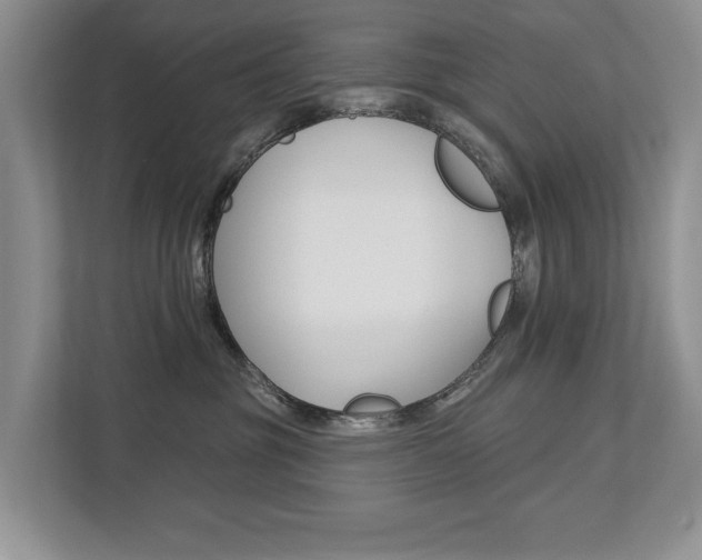X0000112890381200908211035