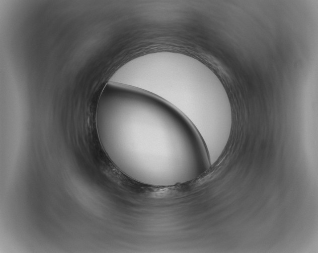 X0000112890382200908211035