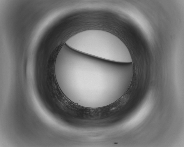 X0000112890383200908211035