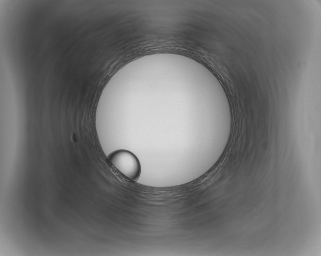 X0000112890384200908211035