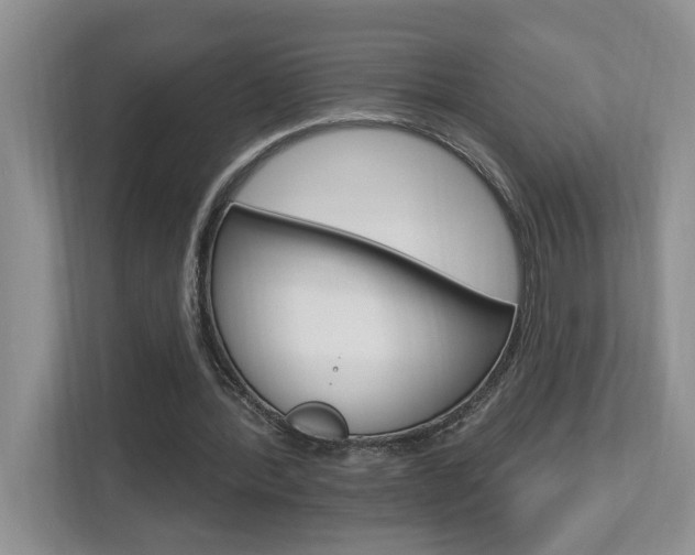 X0000112890388200908211034