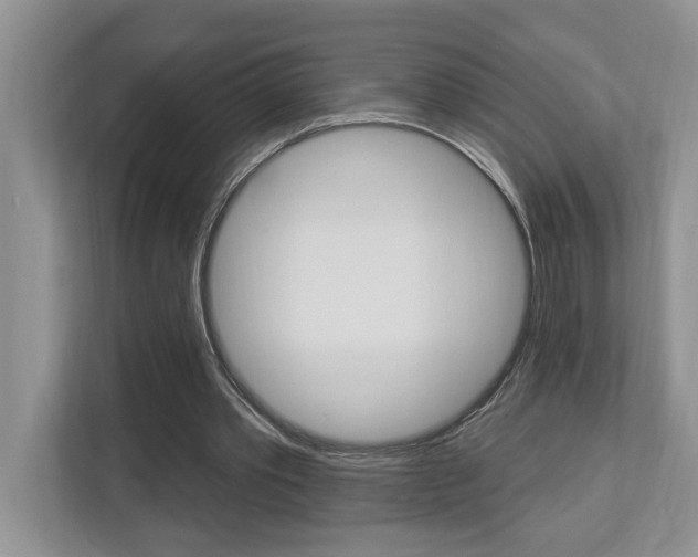 X0000112890389200908211034