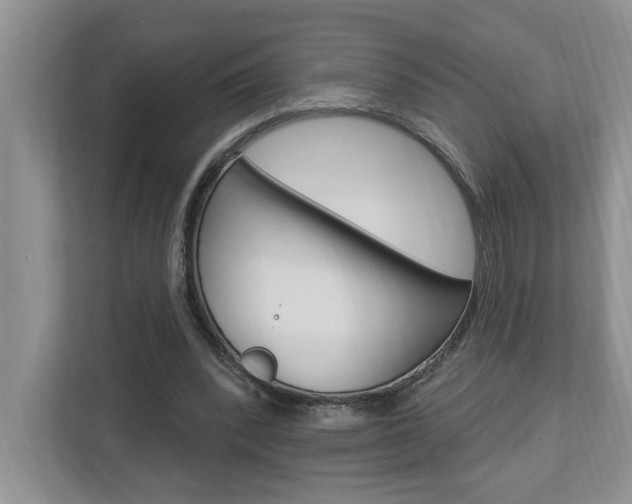 X0000112890392200908211034
