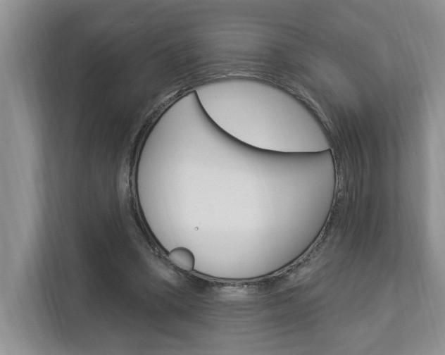 X0000112890394200908211034