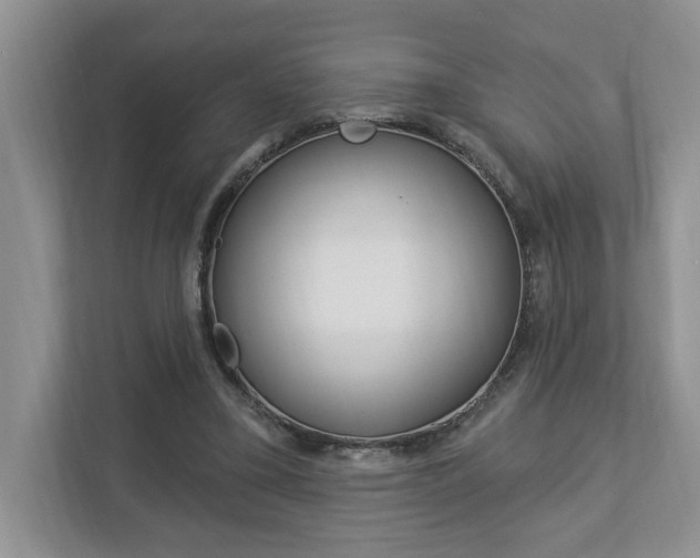 X0000112890395200908211034