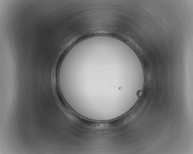 X0000112890398200908211034