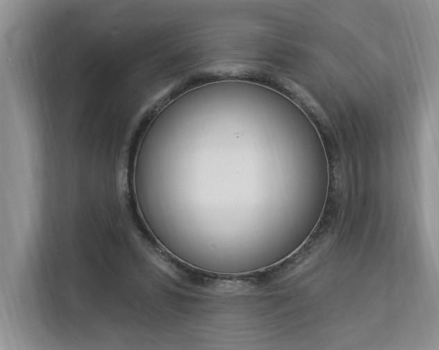 X0000112890399200908211034