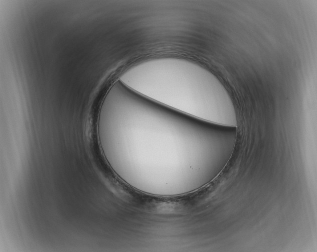 X0000112890400200908211034