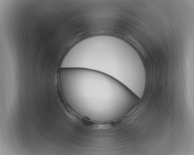 X0000112890401200908211034