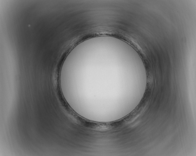 X0000112890402200908211034